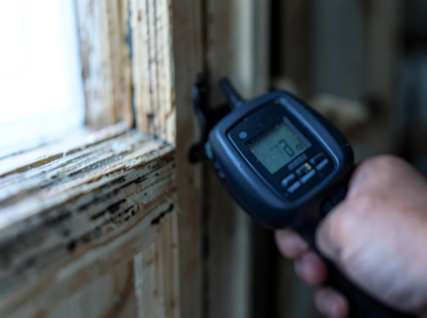 Moisture Inspection And Documentation in Jensen, UT